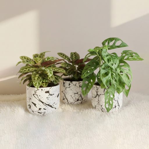 Innodekor színezőpaszta ásványgyantához - fekete, 50 g